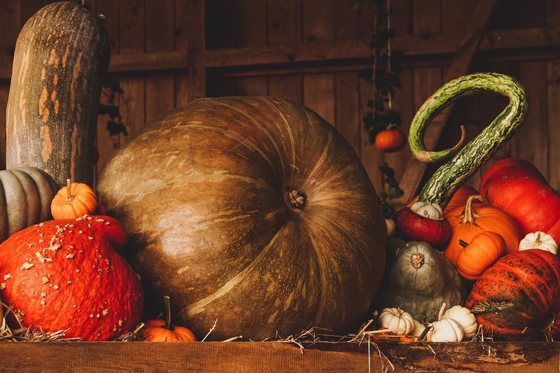 Fall harvest strategies
