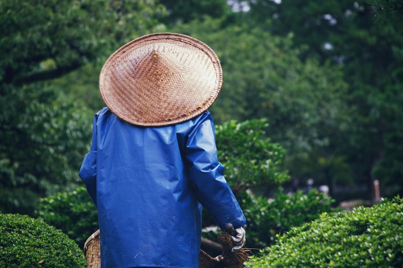 Spring Gardening