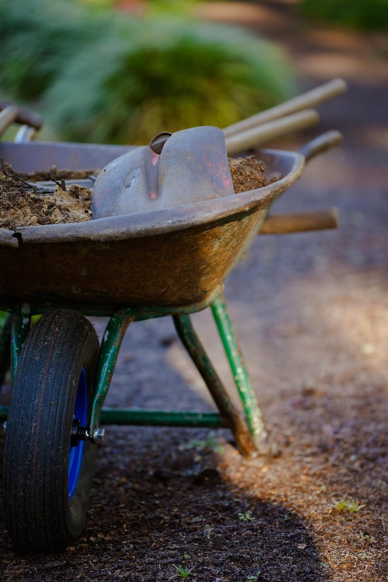Spring Gardening
