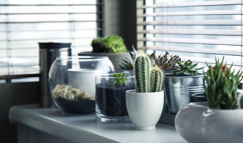 Repurposed Containers
