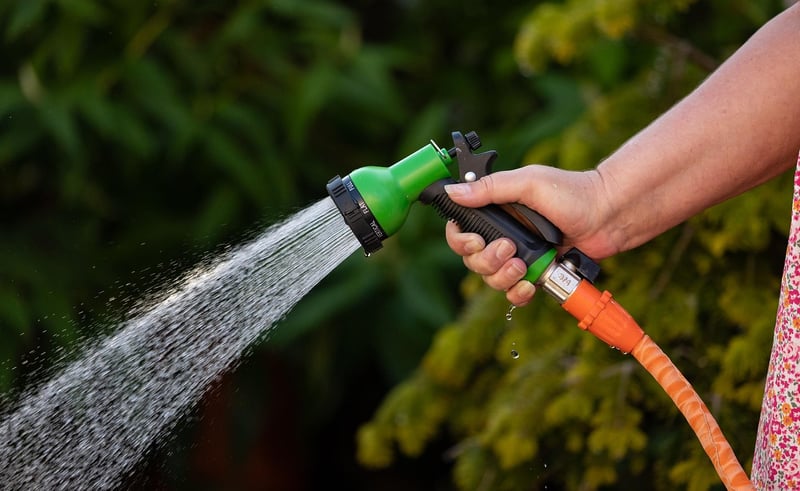 Summer Watering